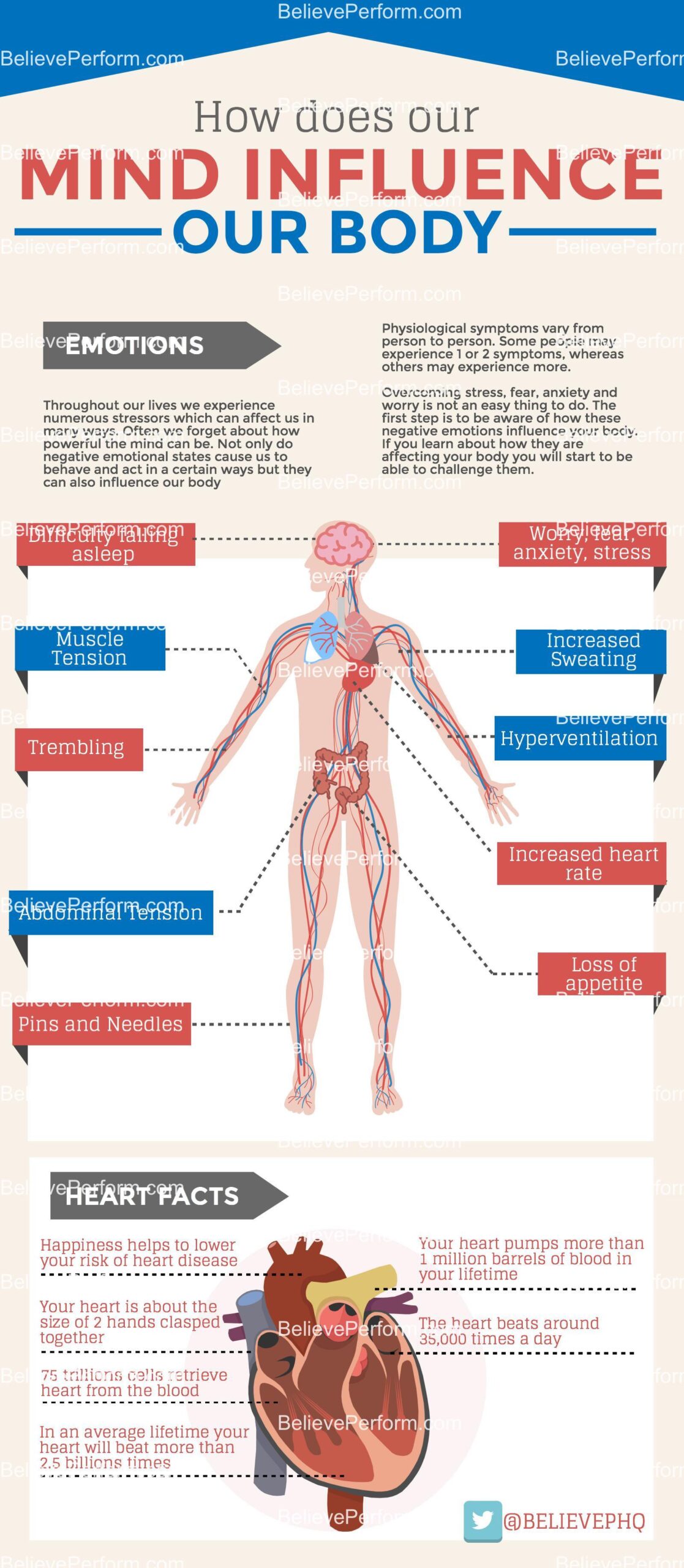 The body scan technique - Infographics - BelievePerform
